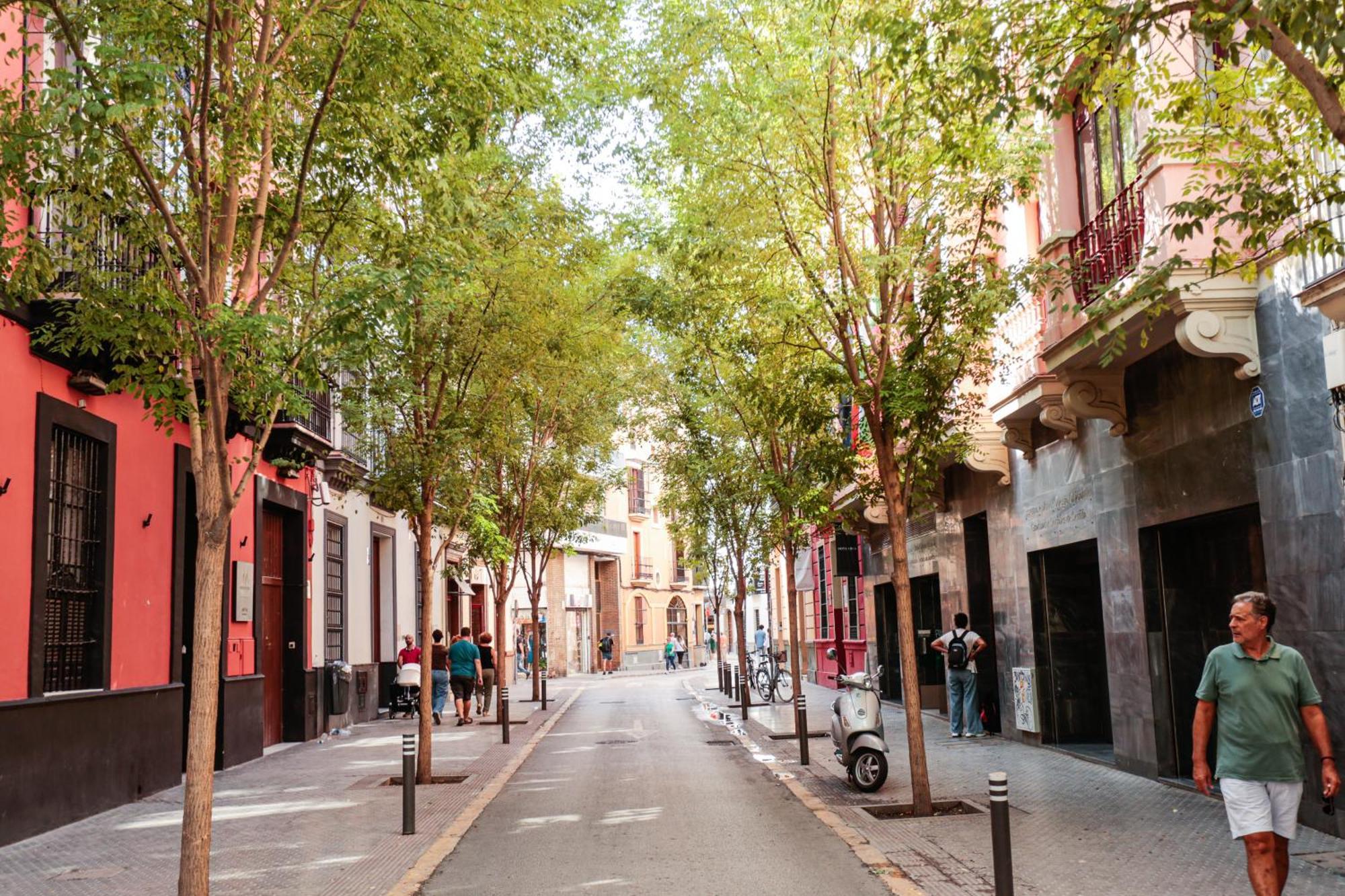 Monkeys Apartments Cervantes Sevilla Bagian luar foto