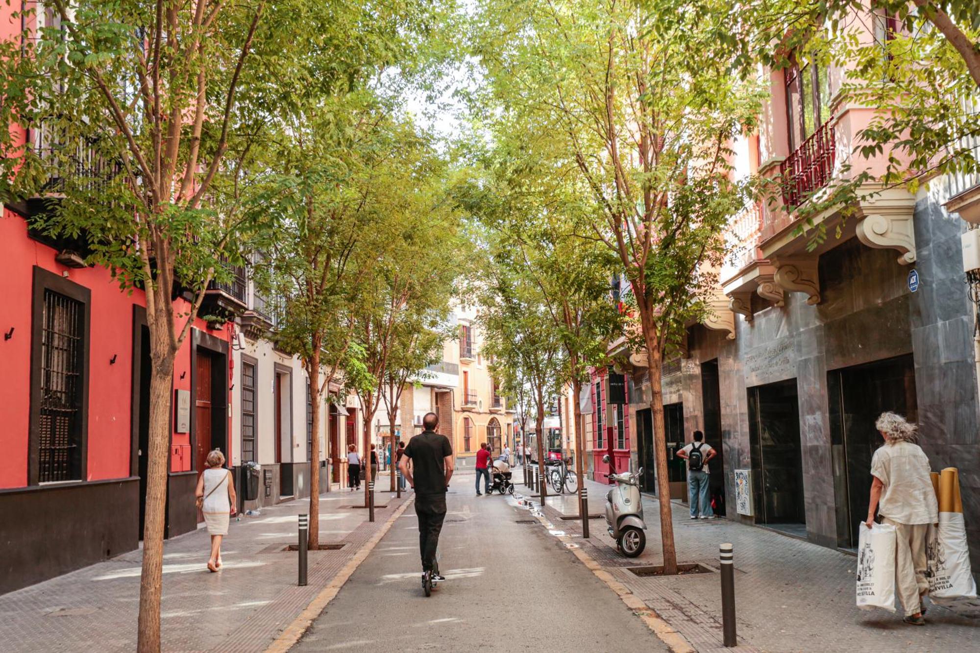 Monkeys Apartments Cervantes Sevilla Bagian luar foto